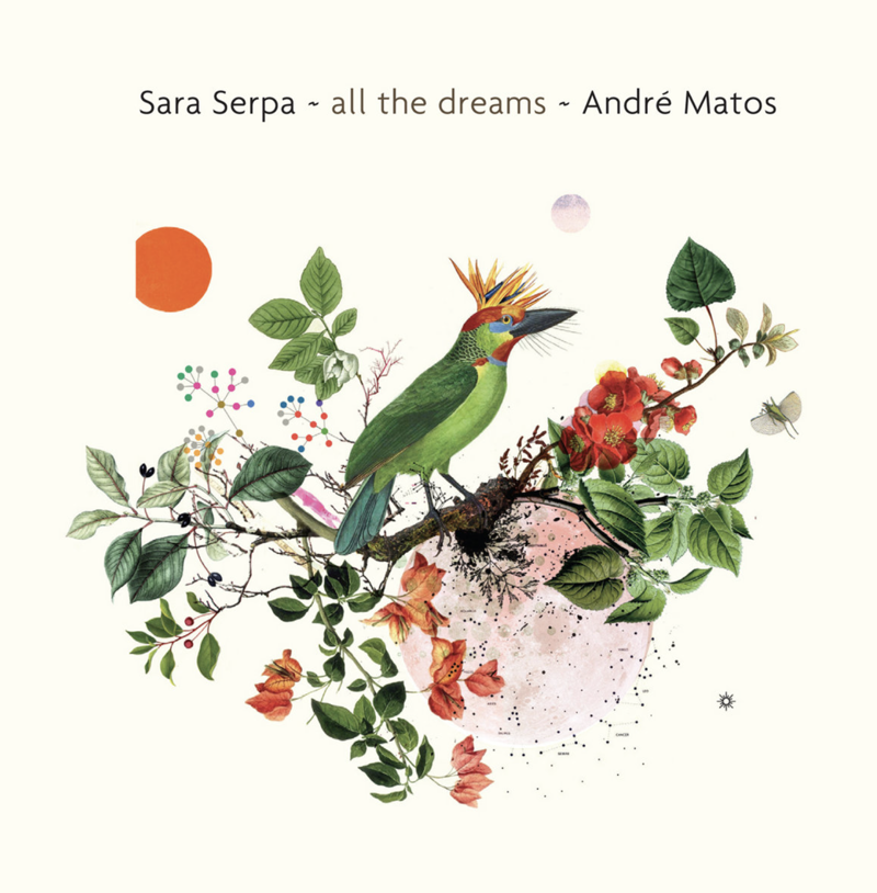 All The Dreams (2016)